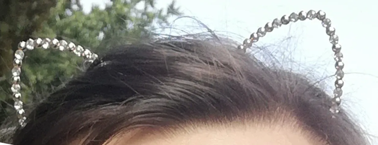 Heavily cropped picture of me at my first pride parade in 2022 wearing those basic cat ears. The picture basically only shows the top of the hair and the ears.

The cat ears are just an Alice band with hollow cat-ear shaped arcs on top which are ornamented by small fake crystals.